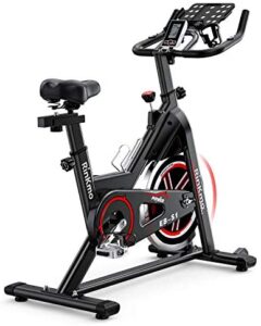 Rinkmo Spin Bike