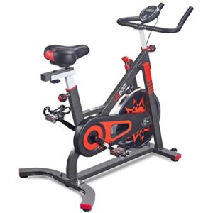 VIGBODY Exercise Bike