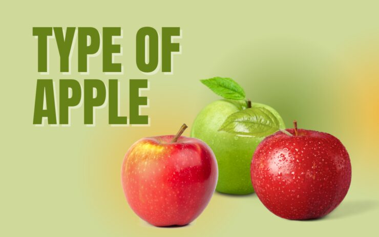 Are Apples Acidic and Good for Acid Reflux? [pH-Wise]