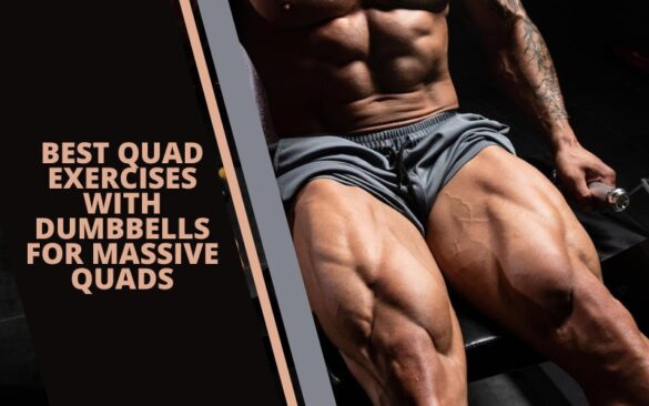 10 Best Quad Exercises With Dumbbells For Massive Quads 2024 Build Strong Defined Muscles