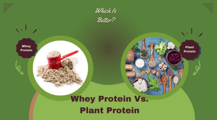 Whey Protein Vs. Plant Protein: Which Is Better?